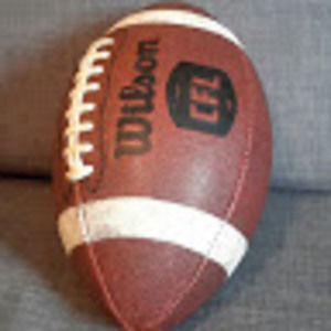 Meet your Posher, Gaming with